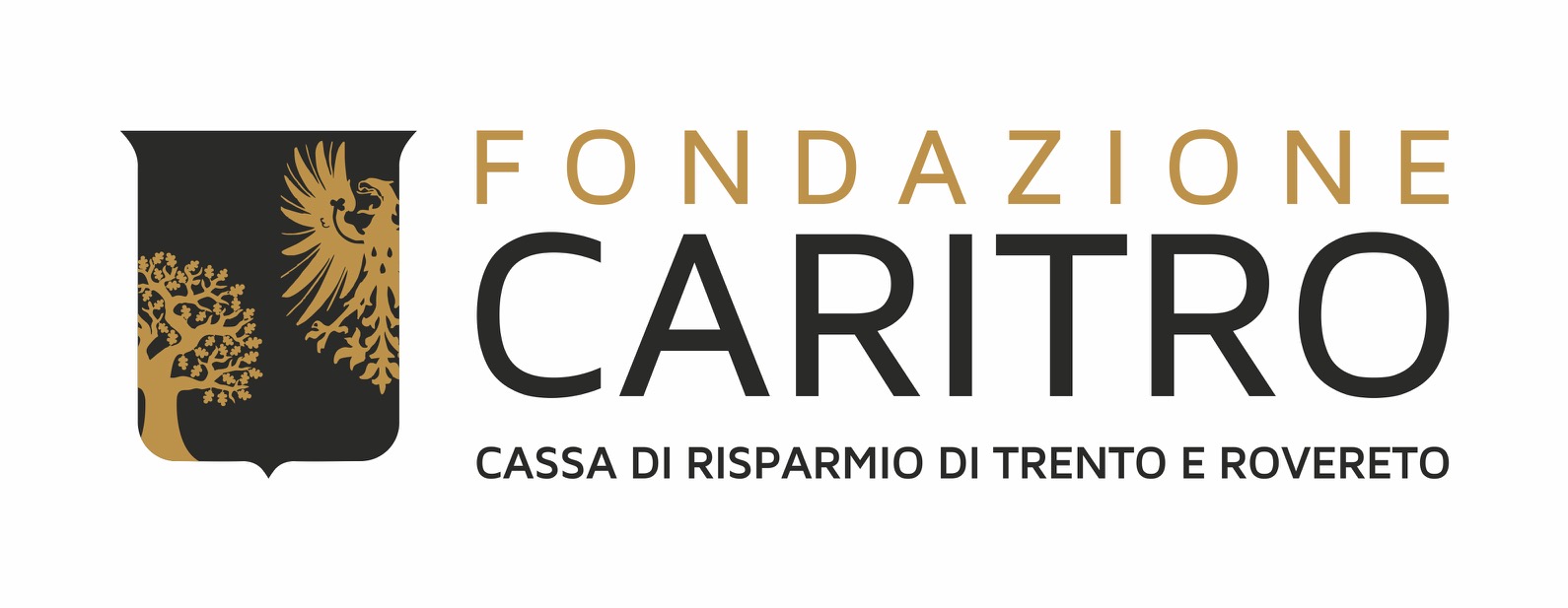 logo caritro 2018